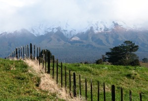 NZ fence leading to the snows of Mt. Taranaki
