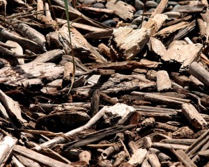 the random nature of wood chips