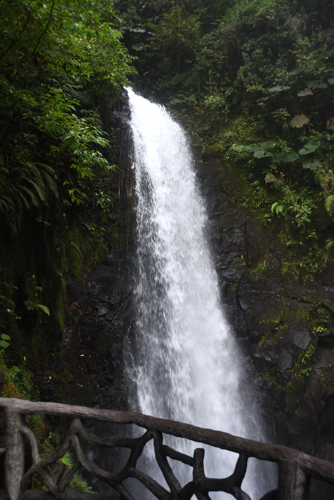 DSC_5776 La Paz waterfall